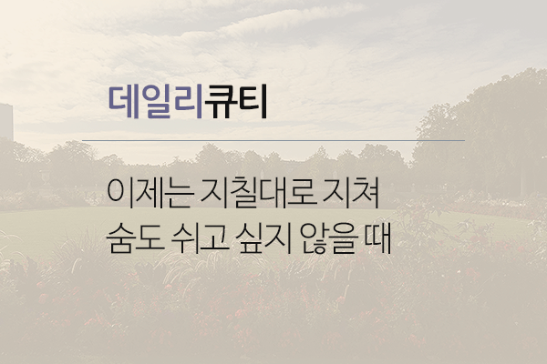 내믿음의크기.gif