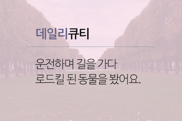 새로운살길.gif